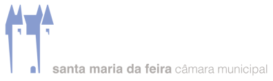 câmara santa maria da feira